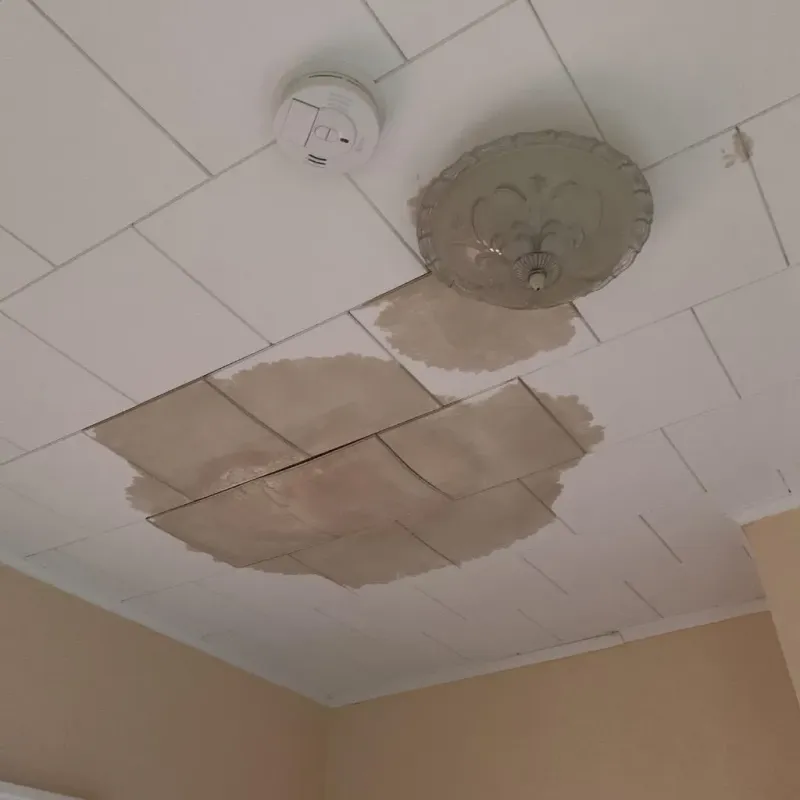 Ceiling Water Damage Repair in East Washington, PA